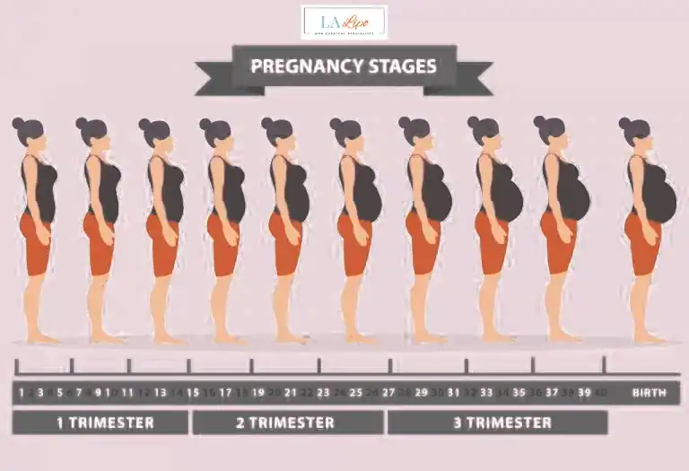 First Trimester (Weeks 1–12): Early Changes You Might Not Notice Bethnal Green